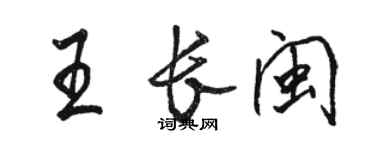 駱恆光王長閩行書個性簽名怎么寫