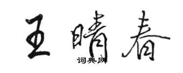 駱恆光王晴春行書個性簽名怎么寫