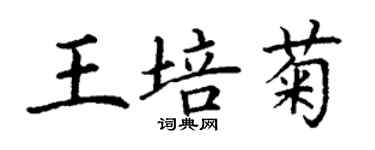 丁謙王培菊楷書個性簽名怎么寫