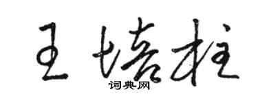 駱恆光王培柱草書個性簽名怎么寫