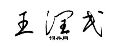 梁錦英王潤民草書個性簽名怎么寫