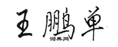 駱恆光王鵬單行書個性簽名怎么寫