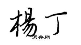 王正良楊丁行書個性簽名怎么寫