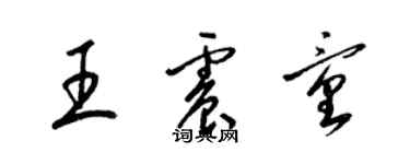 梁錦英王震童草書個性簽名怎么寫