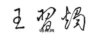 駱恆光王習燭草書個性簽名怎么寫