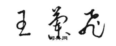 駱恆光王蘭飛草書個性簽名怎么寫