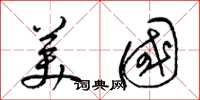 梁錦英美國草書怎么寫