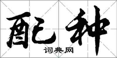 胡問遂配種行書怎么寫