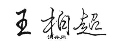 駱恆光王柏超行書個性簽名怎么寫