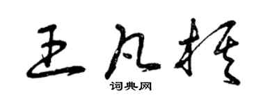 曾慶福王凡棋草書個性簽名怎么寫