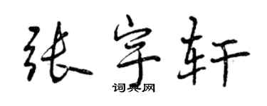 曾慶福張宇軒行書個性簽名怎么寫