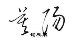 駱恆光莫陽草書個性簽名怎么寫