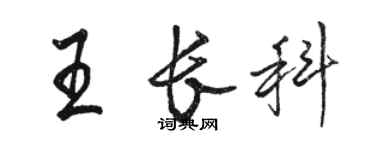 駱恆光王長科行書個性簽名怎么寫