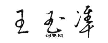 駱恆光王玉準草書個性簽名怎么寫