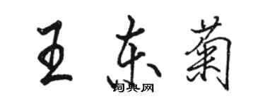 駱恆光王東菊行書個性簽名怎么寫