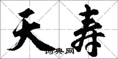 胡問遂天壽行書怎么寫