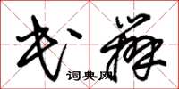 朱錫榮民辦草書怎么寫