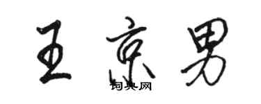 駱恆光王京男行書個性簽名怎么寫