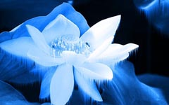 2016年十大科學發現 這些你都知道嗎?