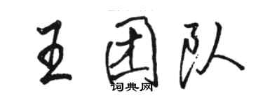 駱恆光王團隊行書個性簽名怎么寫