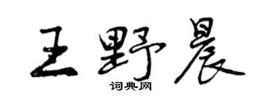 曾慶福王野晨行書個性簽名怎么寫