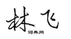 駱恆光林飛行書個性簽名怎么寫