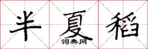袁強半夏稻楷書怎么寫