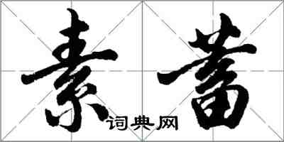 胡問遂素蓄行書怎么寫