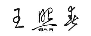 駱恆光王照春草書個性簽名怎么寫