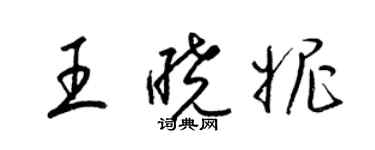 梁錦英王曉妮草書個性簽名怎么寫