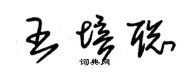 朱錫榮王培聰草書個性簽名怎么寫