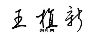 梁錦英王植新草書個性簽名怎么寫