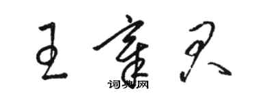 駱恆光王章君草書個性簽名怎么寫