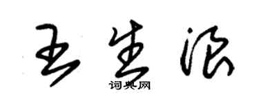 朱錫榮王生浪草書個性簽名怎么寫