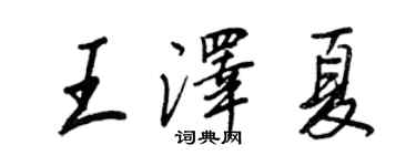王正良王澤夏行書個性簽名怎么寫