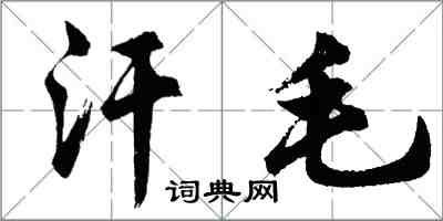 胡問遂汗毛行書怎么寫