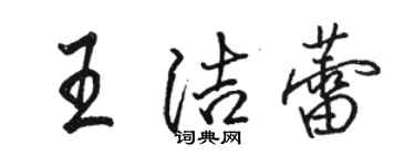 駱恆光王潔蕾行書個性簽名怎么寫