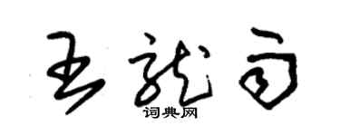 朱錫榮王龍雨草書個性簽名怎么寫