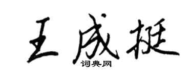 王正良王成挺行書個性簽名怎么寫