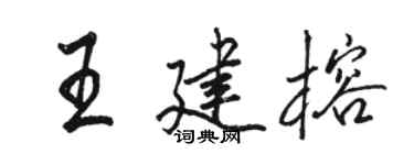 駱恆光王建榕行書個性簽名怎么寫
