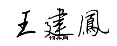 王正良王建鳳行書個性簽名怎么寫