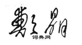 駱恆光鄭晶草書個性簽名怎么寫