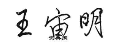 駱恆光王宙明行書個性簽名怎么寫