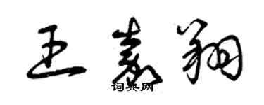 曾慶福王嘉翔草書個性簽名怎么寫