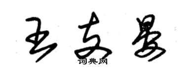 朱錫榮王支晏草書個性簽名怎么寫