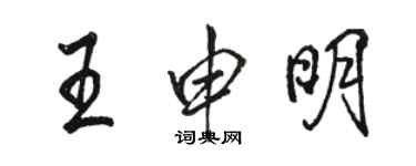 駱恆光王申明行書個性簽名怎么寫