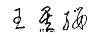 駱恆光王星纓草書個性簽名怎么寫