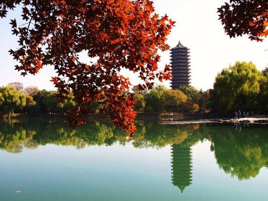 詭異的殺人笛聲 北大未名湖到底淹死了多少人  北大未名湖是北京大學校園裡的一道亮麗風景，也誕生了很多膾炙人口的故事。但是很多人不知道，跟許多大學裡流傳靈異故事一樣，在美麗的未名湖邊也一直流傳著許許多多的靈異傳說。這些說法眾說紛紜，讓北大未名湖的美麗外表下呈現出了一絲神秘的陰影。  關於北大校園內的靈異傳說有：老教學樓裡面有一個怎么也找不到的教室;某棟教學樓的地下室里曾經掩埋了數千具“馬路大”的屍體(“馬路大”是當年731部隊對用來做實驗的活人的稱呼，日文裡面是“圓木”的意思);陰森的被學生們稱為“小西天”的舊校醫室……可以說，只要認真調查一番，北大的校園，幾乎處處都跟靈異故事有著千絲萬縷的關係。隨著近30年來校園的不斷改造，很多以前“鬧鬼”的教學樓、雕像等都被拆除或者是翻新，關於它們的一些靈異故事也漸漸被淡忘，不再是學生們津津樂道的談資。但是，北大裡面還是有一個地方，不時會傳出讓人毛骨悚然的故事來，那就是今天故事的主角——未名湖。從北大立校到現在，它從來沒有經歷過任何的損毀和人為改造，所以關於它的靈異故事也一直流傳了下來。北大的前身燕京大學就包括未名湖  最早的“受害者”只是個誤會  未名湖最早屬於圓明園的附屬園林“淑春園”，但是起初因為淑春園並沒有很多特別的景觀，所以一直也被圓明園的另外幾個園搶了風頭。圓明園的最初規劃里並未包括淑春園  直到後來，乾隆將淑春園賜給和珅，和珅將其大肆改造了一番後，淑春園才變得為人所知，而未名湖也正是建成於此時。  此後的130餘年之間，淑春園幾次易主，直到20世紀20年代，淑春園的大部分被劃歸燕京大學，並由錢穆將其中的人工湖命名為“未名湖”後，我們熟悉的未名湖才真的誕生，而它建成後的130餘年間亦未有任何人在此投湖的記載。王國維  而被人認為是第一個在未名湖投湖的，是清末著名學者王國維，他於1927年投湖自盡。不過後來的史料證實，王國維投的並非未名湖，而是頤和園內的昆明湖，所以，將王國維稱為未名湖有記載以來的第一個投湖者，只是一個誤會。  抗日和文革，湖裡興許埋骨無數  1937 年抗日戰爭開始後，作為校長的司徒雷登在校內升起美國國旗，以保全燕京大學。最初日本對此還頗為忌憚，不過1941年美日爆發太平洋戰爭後，日本憲兵隊還是占領了燕大，並將師生驅逐出了校園。此後四年內，日軍在裡面開展了不少類似於731部隊細菌實驗的非人道實驗，上文提到的某教學樓地下室掩埋了數千具 “馬路大”的靈異故事就出自此時期。假如日軍在1941年至1945年間，真的在北大進行過人體實驗，那么，未名湖則絕對是一個理想的拋屍場所。不知日軍在北大內是否也進行過人體實驗  新中國成立以後，1952年，燕京大學被撤銷，原來燕大的校舍變成了北大。在1966年開始的那場運動中，北大成了重災區。不少教授“或選擇服毒，或選擇上吊，或選擇在未名湖自溺，或選擇跳樓……”最初一版北京大學範圍圖並不包含未名湖  自由作者莊沐陽在他的一篇名為《未名湖水怪》的文章內，塑造了一個老人角色，這位老人自稱“在文革的時候是北大學生，批鬥了自己的教授，結果教授當著他的面跳下了未名湖”。雖然這篇文章是虛構的，但是，文革期間，不少受迫害的北大教授選擇投湖自盡，卻是不爭的事實。被認為在未名湖投湖自盡的老舍先生  順帶一提，大家都以為是在未名湖自盡的老舍先生其實並不是於未名湖投湖，而是在太平湖投湖的，跟前面提到的王國維一樣，也是個誤會。  那一道讓未名湖投湖傳聞名聲大噪的神秘笛聲  文革結束後，北大的教學又慢慢開始回到正軌。當代關於未名湖的傳聞，因為一絲笛聲而添上了幾分神秘。  2009 年，作家石一楓的小說《紅旗下的果兒》出版，其中有一段關於投湖的描述。故事裡的人物陳木是個經常自殺的抑鬱文藝女青年，在曾經十幾次割腕自殺未遂後，她來到未名湖畔想投湖自盡。跳湖前，一個神秘的男子在湖邊吹著笛子，笛聲響徹湖畔，聽到動心處陳木就跳下水了。此時，這個神秘男子停止了笛聲，欲下去救人，卻沒想到斜刺里殺出一個八十多歲的老人，跳下水去一把把陳木拉了上來。小說出版一個月以後，網上各大論壇都出現了一篇名為《北大未名湖不可思議傳聞：當年那著名的殺人笛聲在哪裡?》的帖子，發帖人自稱是北大學生，疑似1998 年至2002年在讀，在帖文中，他引用了一些描述和猜測，對《紅旗下的果兒》裡面關於陳木投湖事件的真實性作出了肯定。而作者石一楓本人也提到當時寫下《紅旗下的果兒》，“就是想要記錄一些現實”，情況變得更加撲朔迷離。  除此之外，帖文中還提到了其他相關的傳聞。比如某日一女校友在校園內遭強姦，校方為了平息事件，和這女孩達成了某種協定，要求她對警察和媒體守口如瓶。可校方最終卻似乎沒有兌現承諾，致使女孩選擇自殺。跳湖前為了招人前來觀看，女孩吹了一首笛子曲。不久後，她遠在異鄉的男友前來湖畔弔唁痛哭，居然聽到了女孩臨死所吹的曲子。女孩的魂魄從湖中出現，告訴他只要每年在忌日吹這首曲子，就可以見到她。於是每年的某個日子，北大未名湖畔都會響起這首曲子。還有一種說法：北大某寢樓在建設時曾發生鬥毆事件，其中某人被當場打死，被其他人埋進了寢樓的牆壁里。據稱，死者被埋進牆壁的時候手裡死死抓著一根笛子。多年以後，某學生在牆壁的裂縫裡發現了這根笛子，從此性情大變，經常在半夜無人時到未名湖畔開始吹笛子。在笛聲的吸引下，多名學生像是被蠱惑般跳下湖去。據說，此笛子目前仍然藏在北大校舍內，每到那位建築工人的忌日，未名湖畔就又會響起此曲，招人跳湖。關於笛聲的傳聞總讓人想起日本推理小說《惡魔吹著笛子來》  這些故事說起來栩栩如生，陰森恐怖，但確有其事嗎?  事實上，女生遭強姦並被殺害這件事的確屬實，但跟投湖並沒有任何聯繫。而根據石一楓的回憶，以前北大湖畔確有吹笛人，而他“一直都在吹東北民樂《揚鞭催馬運糧忙》”。此外，他還說在北大讀書期間聽說過投湖的傳聞，卻從沒聽說過有淹死的，因為那時候還沒清淤，湖水不深。進一步考證可以發現，在2003年北大資源與環境地理系的論文《北京大學未名湖沉積物中主要重金屬隨深度變化的研究》中就有提及湖中淤積湖水不深的情況。關於未名湖在2004年清淤前的深度，普遍均認為最深處也僅僅不超過兩米。因此可以說，與其說未名湖是因為有人投湖而聞名，還不如說是因為那神秘的笛聲而為人津津樂道。  “靈魂們都是一條魚，也會從水面躍起”。對於未名湖到底淹死了多少人，我們不能給出一個百分之百確切的數字。但我們希望那些投湖的靈魂們，真的能化為魚，暢遊在這未名湖裡。