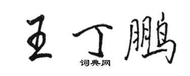 駱恆光王丁鵬行書個性簽名怎么寫