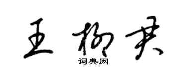 梁錦英王柳君草書個性簽名怎么寫